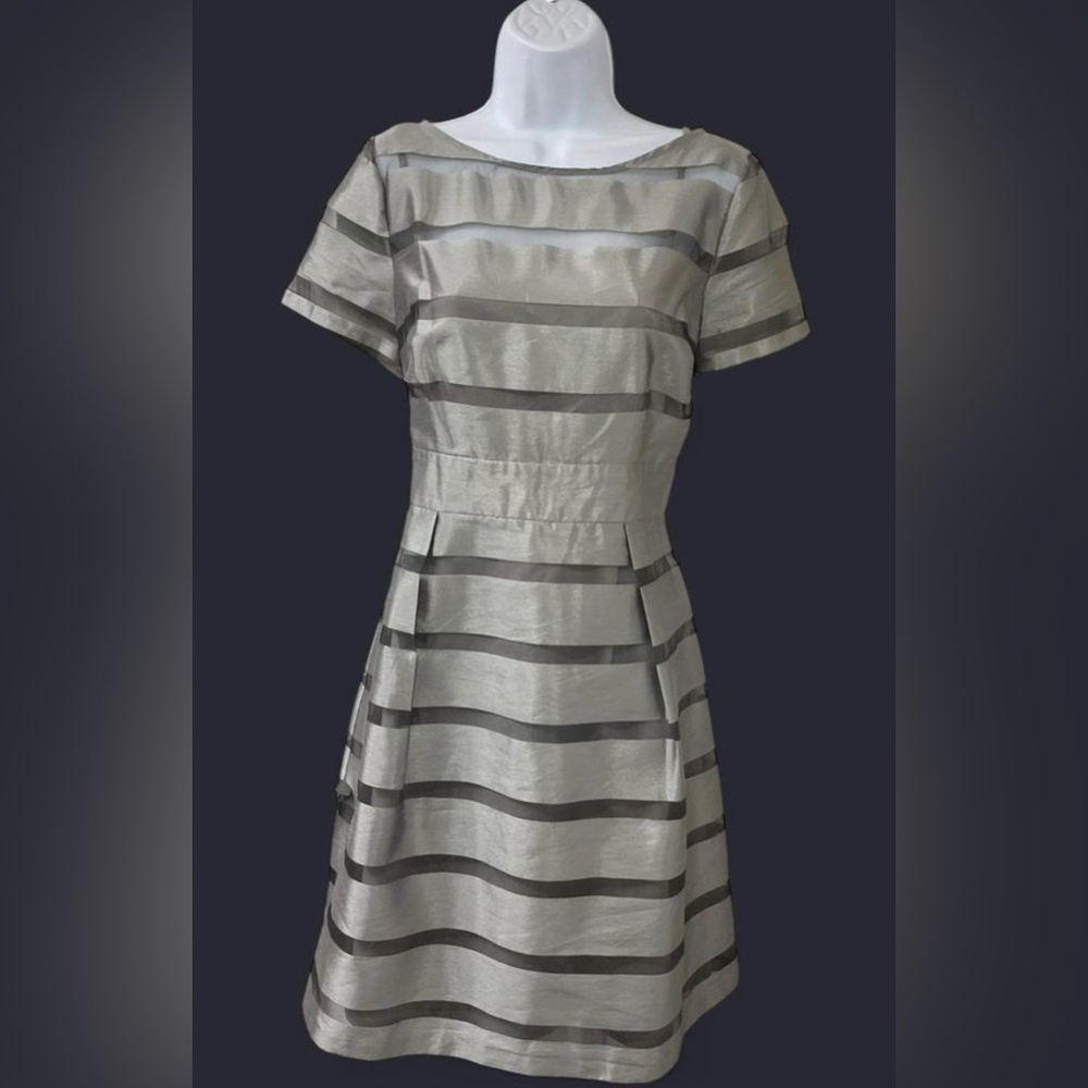 Muse Silver and Gray Striped Party Dress